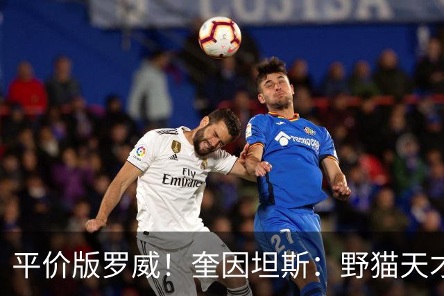 平价版罗威！奎因坦斯：野猫天才内线 存伤病隐患 罚球致敬米切罗