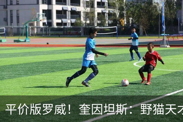 平价版罗威！奎因坦斯：野猫天才内线 存伤病隐患 罚球致敬米切罗